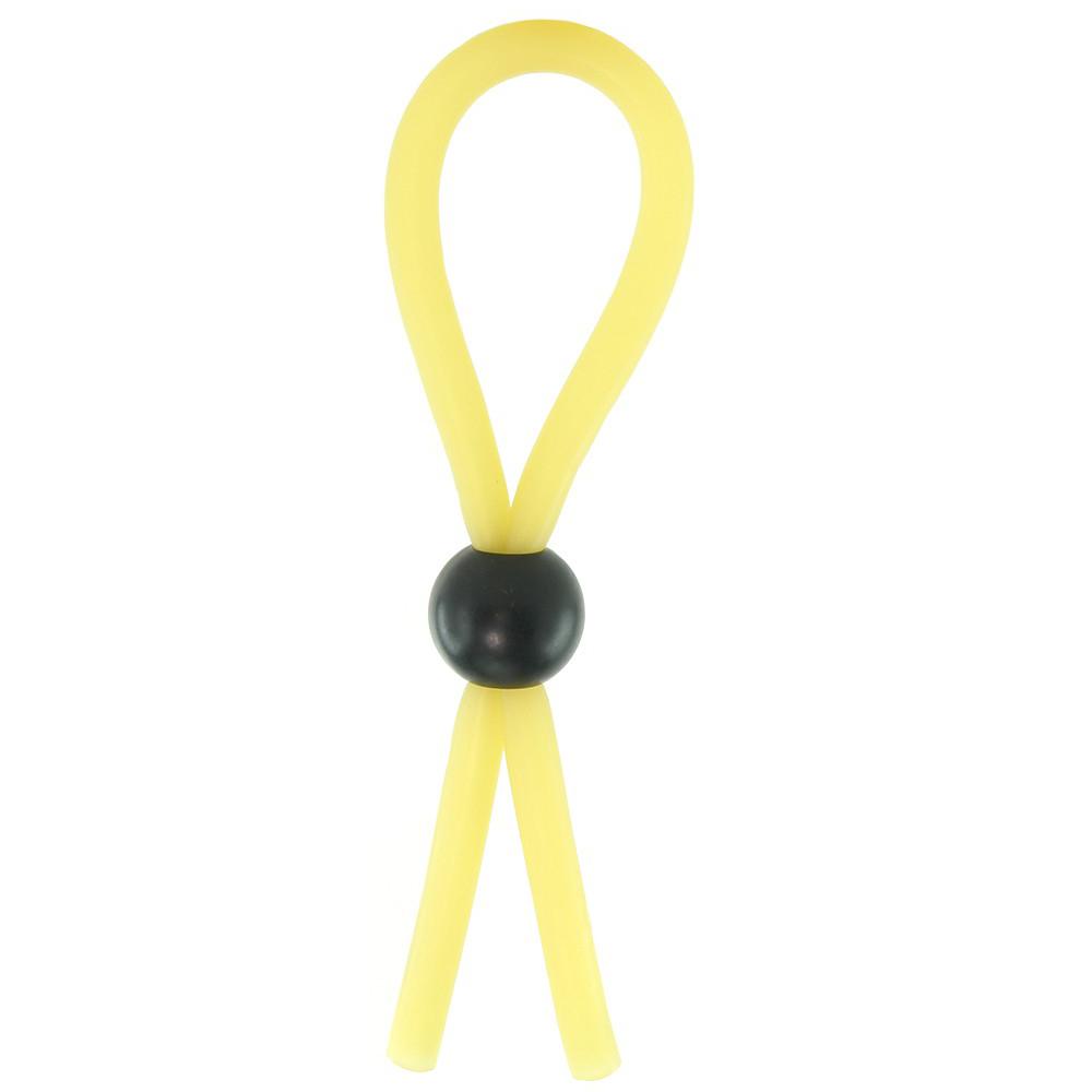 The Lasso