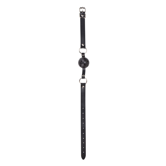 Ball Gag with Leather Straps