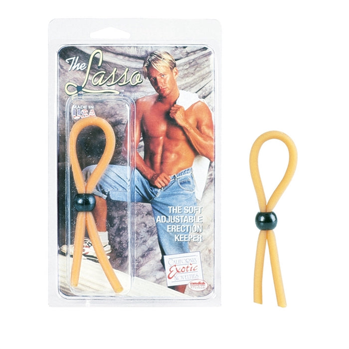 The Lasso