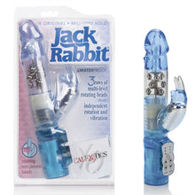 Charger l&#39;image dans la galerie, Jack Rabbit
